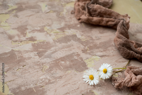 cream for the face, green apple, yellow daisy on a bright background. Natural cosmetics photo