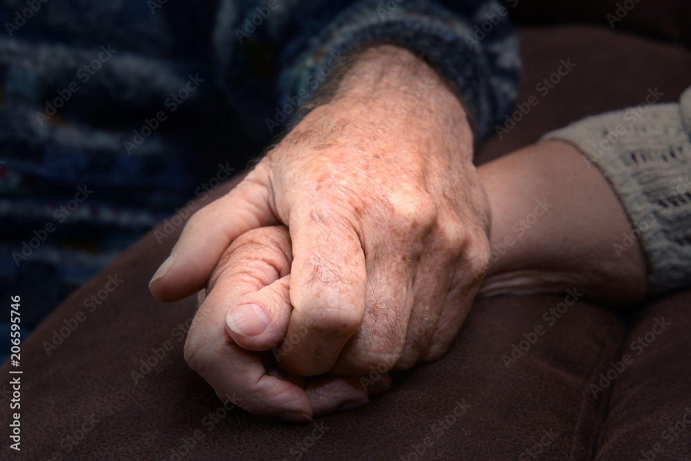 Fototapeta premium Senioren 337