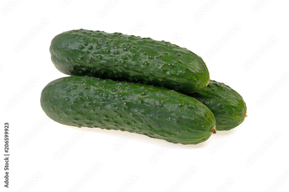 three green ripe cucumber on white background three green ripe cucumber on white background