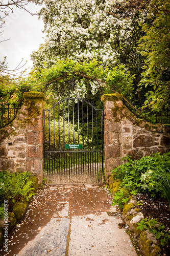 Old  ancient gate in the beautiful garde