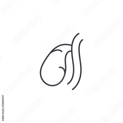 Gall bladder linear icon concept. Gall bladder line vector sign, symbol, illustration.