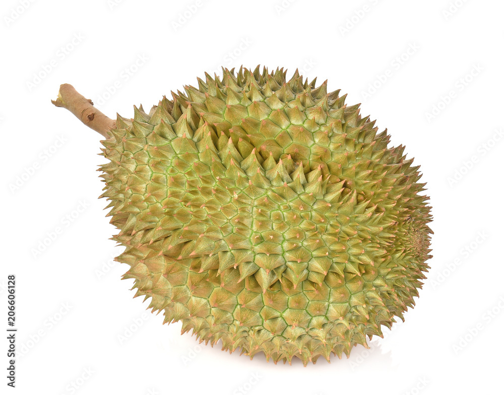 Durian isolated on white background Durian isolated on white background