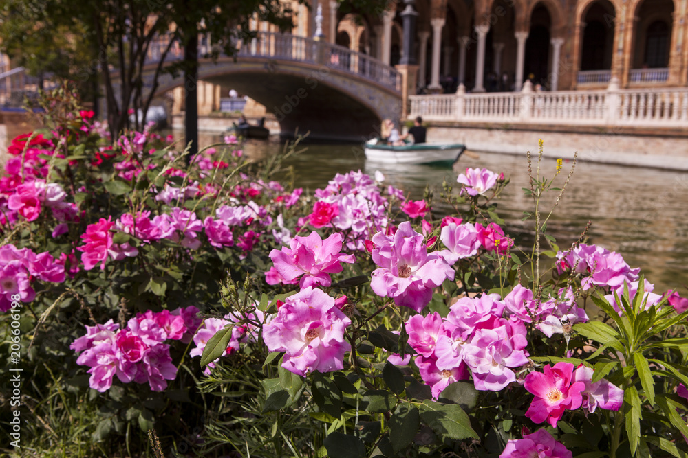 flores y barcas en palaza españa sevilla