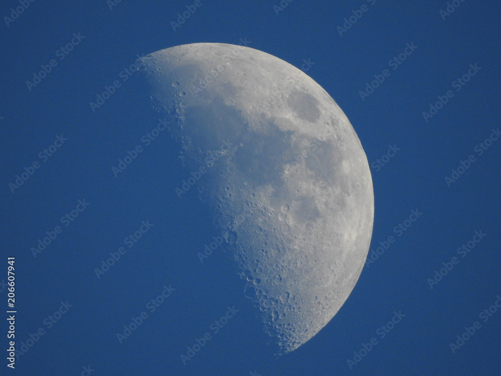 Evening Moon Evening Moon