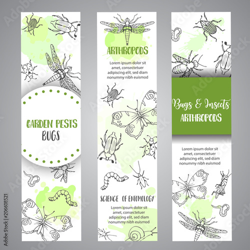 Bugs insects hand drawn banner. Pest control concept. Entomology poster Cartoon illustration of pests and bug. Vector illustration concept