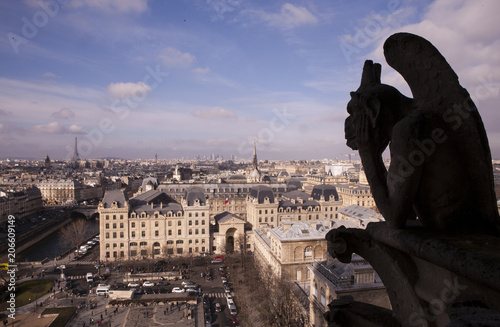 Obraz na płótnie gargolas de la catedral notredam w salonie