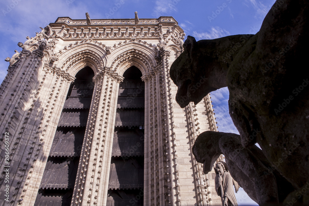 gargola catedral notredam paris