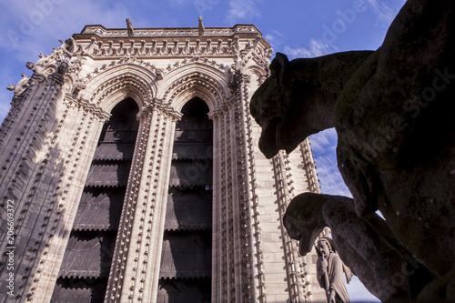 Obraz na płótnie gargola catedral notredam paris w salonie