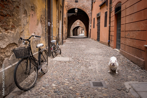 FERRARA  ITALY - May 01  2018  Alley with bicycles and dog in old town of Ferrara  Emilia-Romagna  Italy