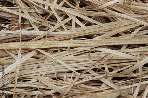 wallpaper with dry grass