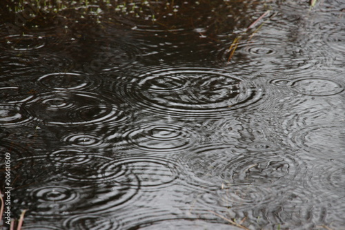 rain drops meet the water surface