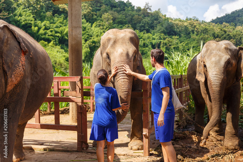 Fotografi A boy and a girl caress an elephant at sanctuary in Chiang Mai Thailand