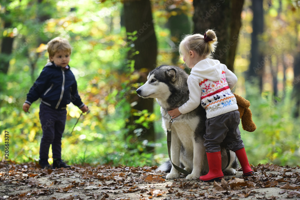 Children training dog in autumn forest. Little girl and boy  