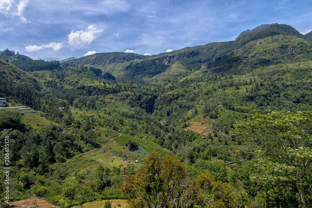 Fototapeta premium Landscape panorama sri lanka