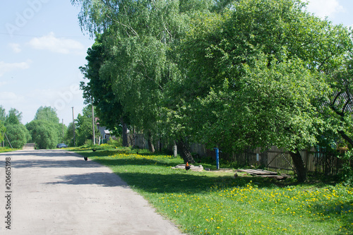 On a village street at noon
