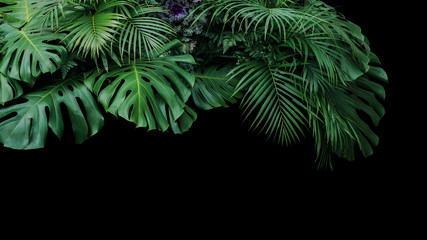 Monstera, fern, and palm leaves tropical foliage plant bush nature backdrop on black background.