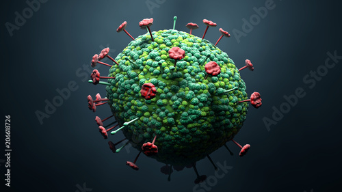 Fotografía Nipah virus