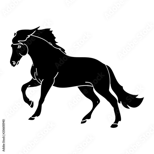 Horse in forward motion
