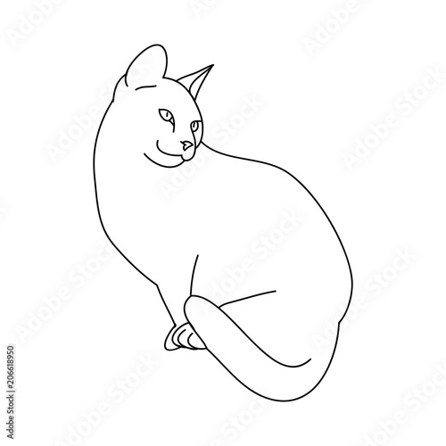 Cat outline on white background