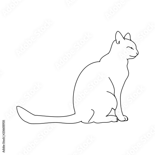 Cat outline on white background