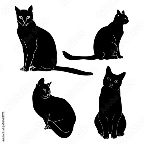 Cat outline on white background