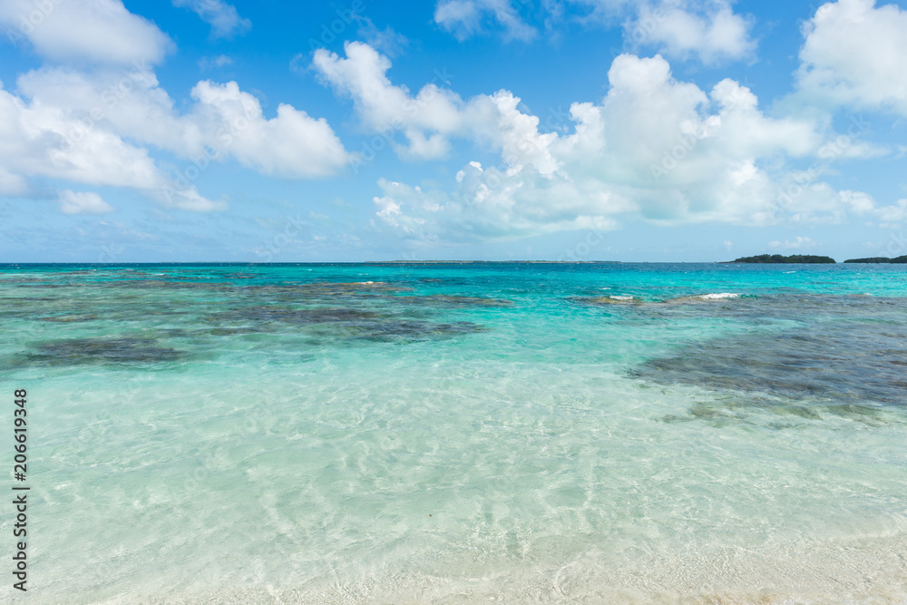 Beautiful beach in Los Roques archipelago, one of the most