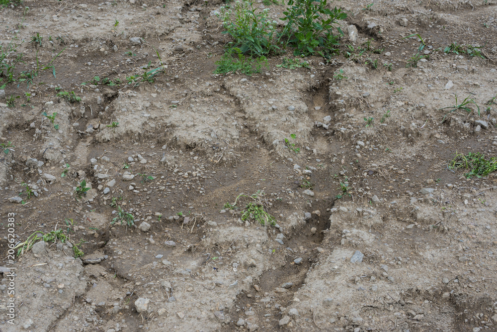 soil erosion on a field - the result of torrential rain soil erosion on a field - the result of torrential rain
