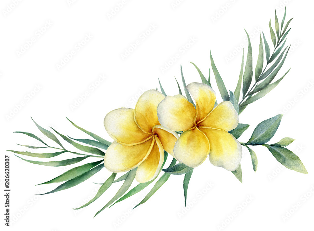 Watercolor floral tropical bouquet with plumeria and palm branch. Hand painted frangipani, eucalyptus isolated on white background. Illustration for design, print, fabric or background.