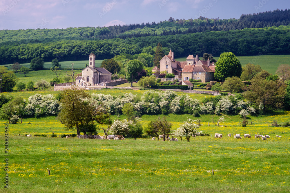 F, Burgund, Departement Côte d'Or, Blick auf Savianges, Blick über blühende Sommerweiden mit Rindern, auf Weiler mit Kirche, Schloß und Gehöften