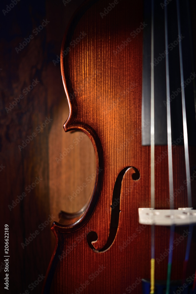 Violin on dark background Violin on dark background