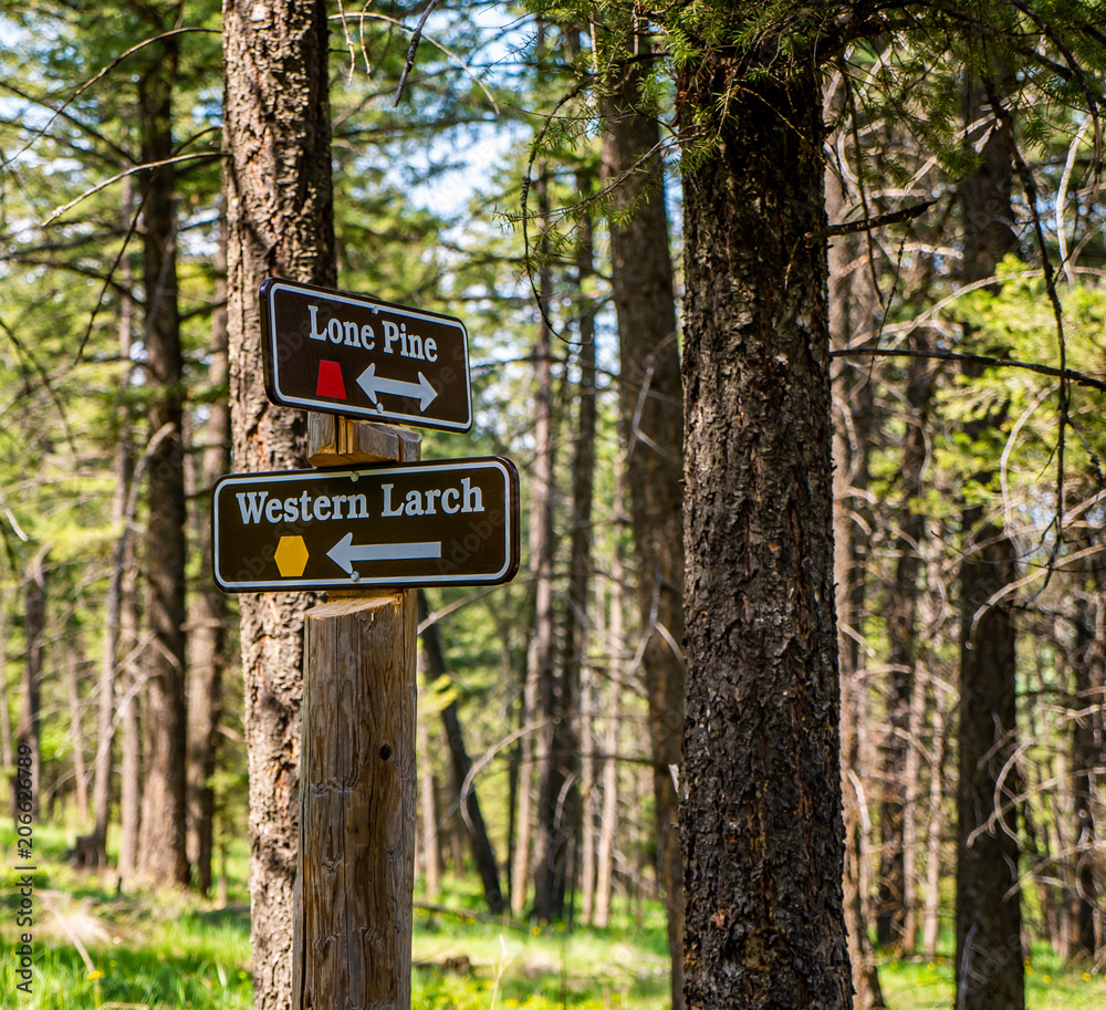 The life of a tourist or hiker is good when one's toughest decision is what trail will I take.
