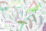 Illustrations of feather. Effect, vector, cartoon & pattern.