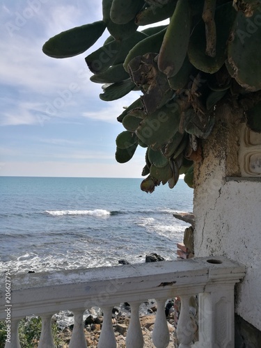 Terrazzo che si affaccia sul mare con cactus a Santamarinella in Italia.