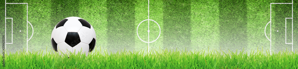 Obraz premium Piłka na boisku piłkarskim