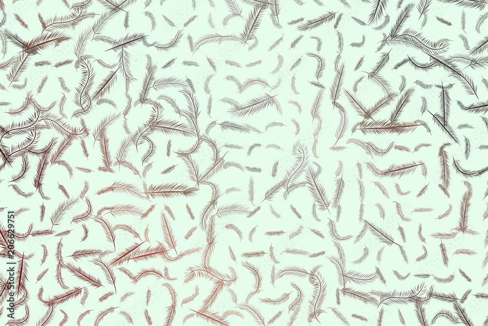 The feather illustrations background abstract, hand drawn. Hand-drawn, style, drawing & digital.