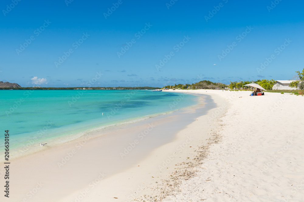 Beautiful beach in Los Roques archipelago Beautiful beach in Los Roques archipelago