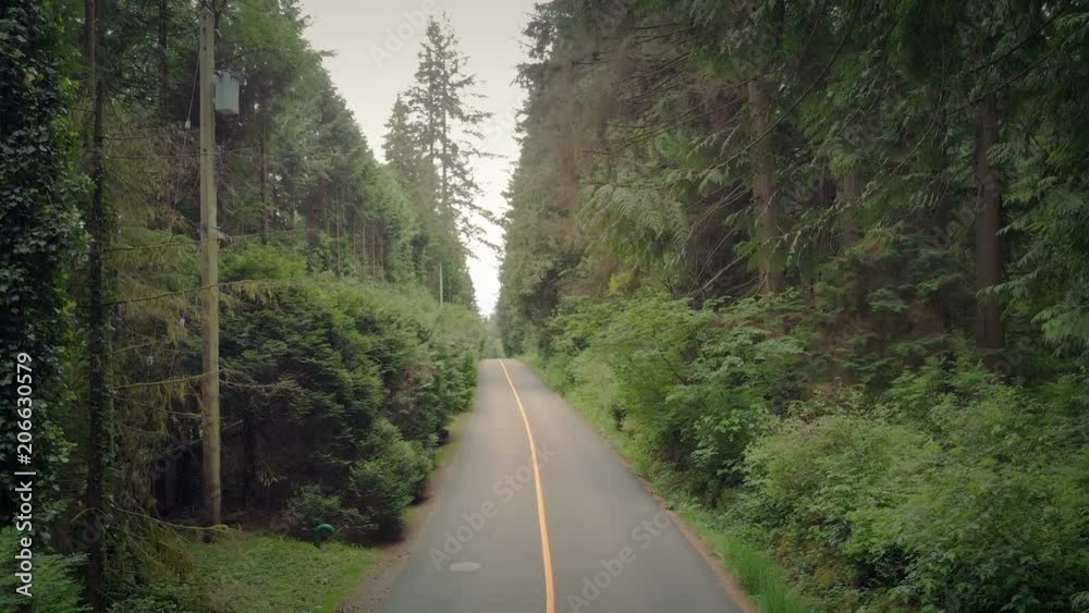 Rural Road In Summer Rising Shot