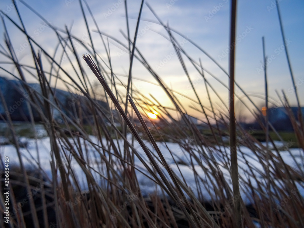 Fototapeta premium coast Sunset