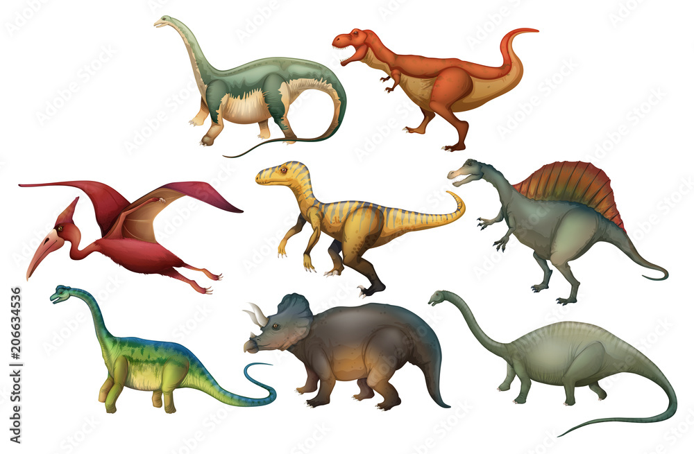 Fototapeta Zestaw różnych dinozaurów