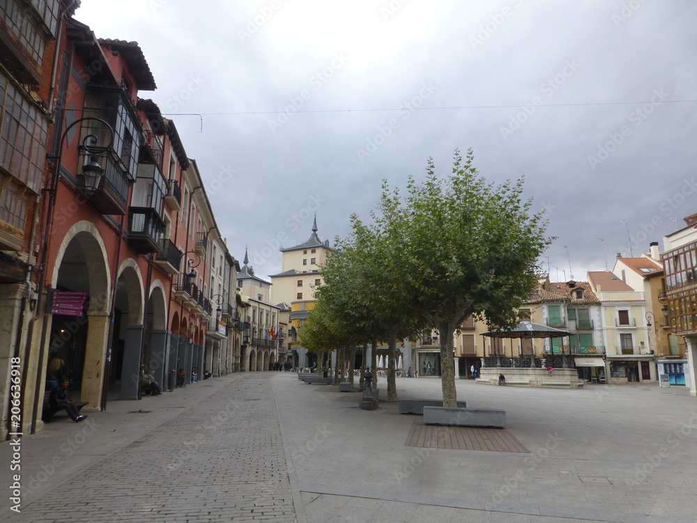 Aranda de Duero, ciudad de Burgos en Castilla y Leon, España