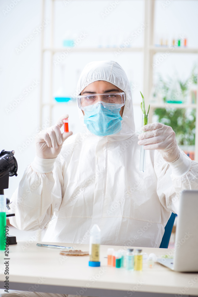 Male biochemist working in the lab on plants Male biochemist working in the lab on plants