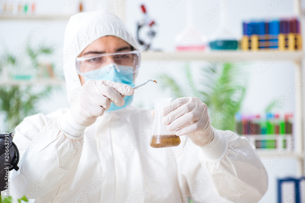 Male biochemist working in the lab on plants Male biochemist working in the lab on plants