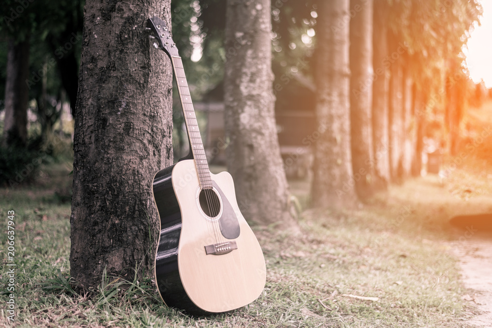Fototapeta classical guitar propped against a tree trunk in the background grass,Acoustic with sunset