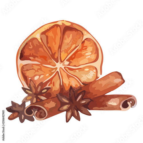 Watercolor lemon citrus anise cinnamon fruit still life isolated vector