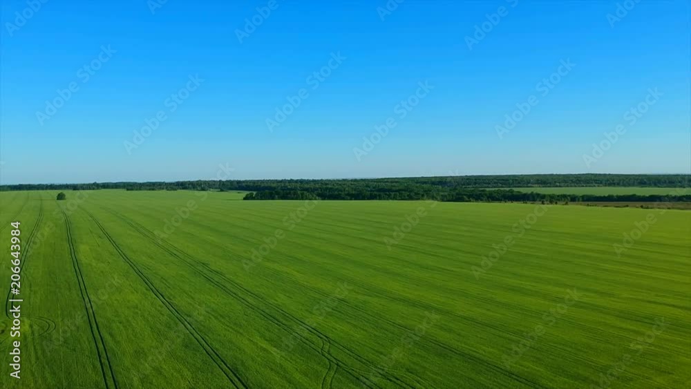 boundless green rice field against distant village by pictorial hills. boundless green rice field against distant village by pictorial hills.