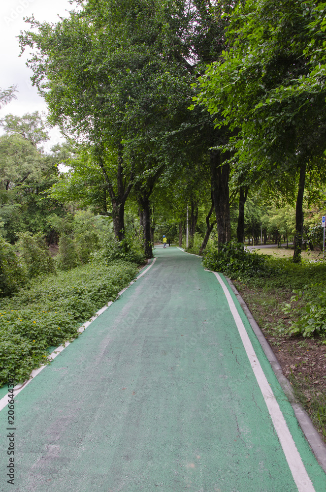 green bike lane in the beautiful nature