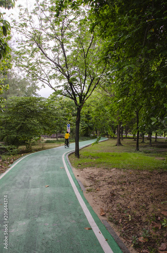 Wallpaper Mural green bike lane in the beautiful nature Torontodigital.ca
