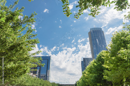 Green public city park in downtown Dallas sunny day. Green tree lush canopy with modern buildings in background cloud blue sky. Urban recreation and outdoor activities concept. photo