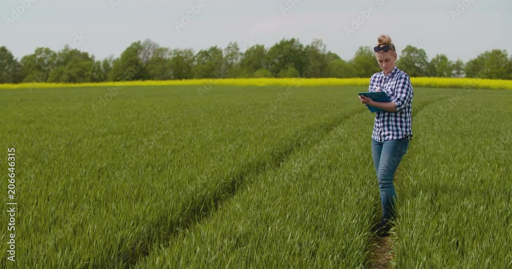 Researcher Examining Crops While Writing In Clipboard Researcher Examining Crops While Writing In Clipboard