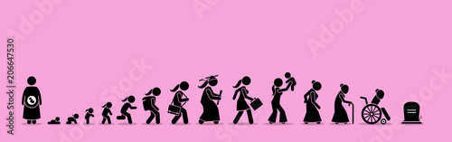 Photo Female life cycle and aging process